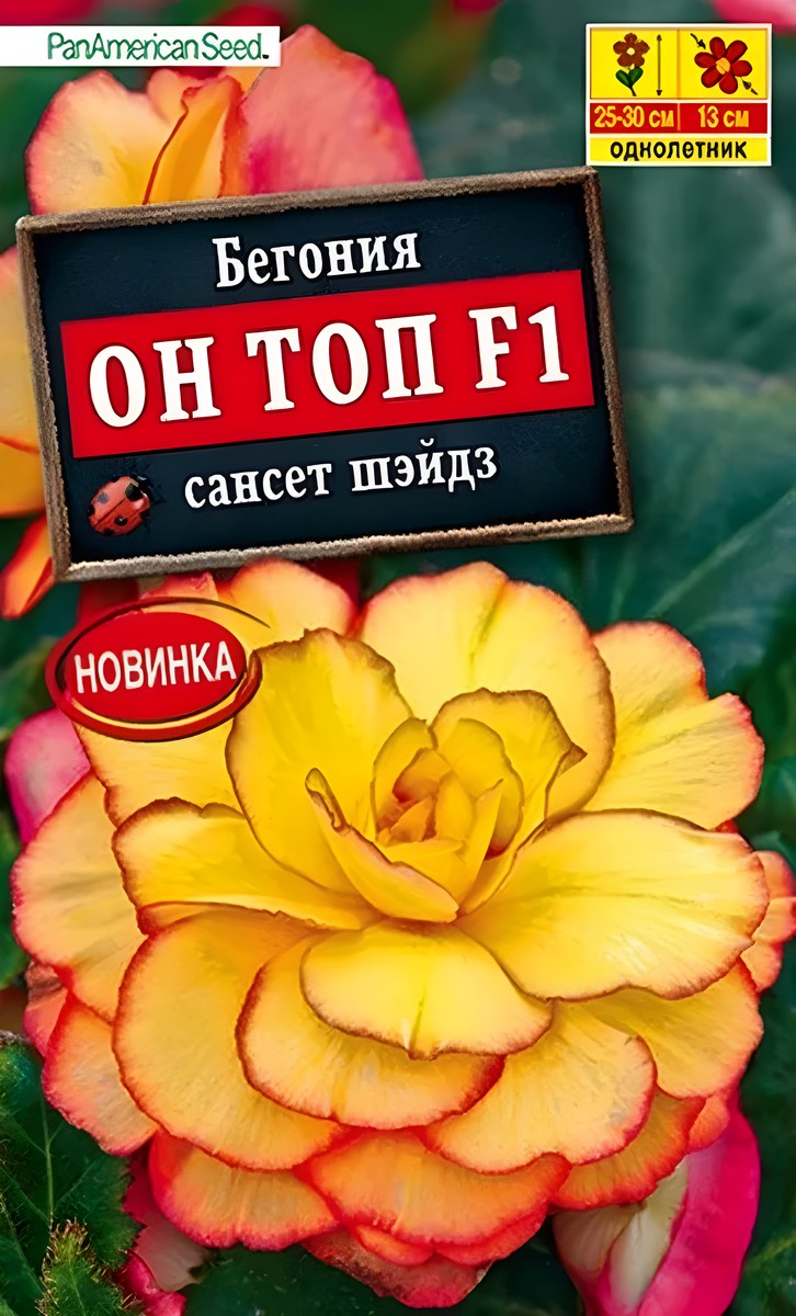 Бегония Он Топ F1 сансет шэйдз, 5 шт.