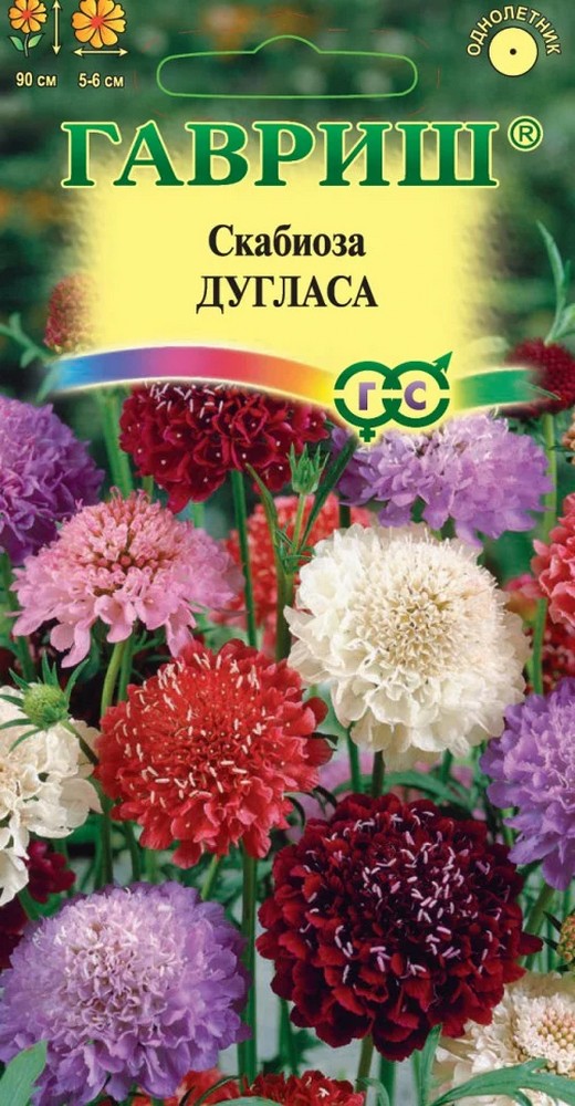 Скабиоза темнопурпурная Дугласа, смесь, 0,2 г