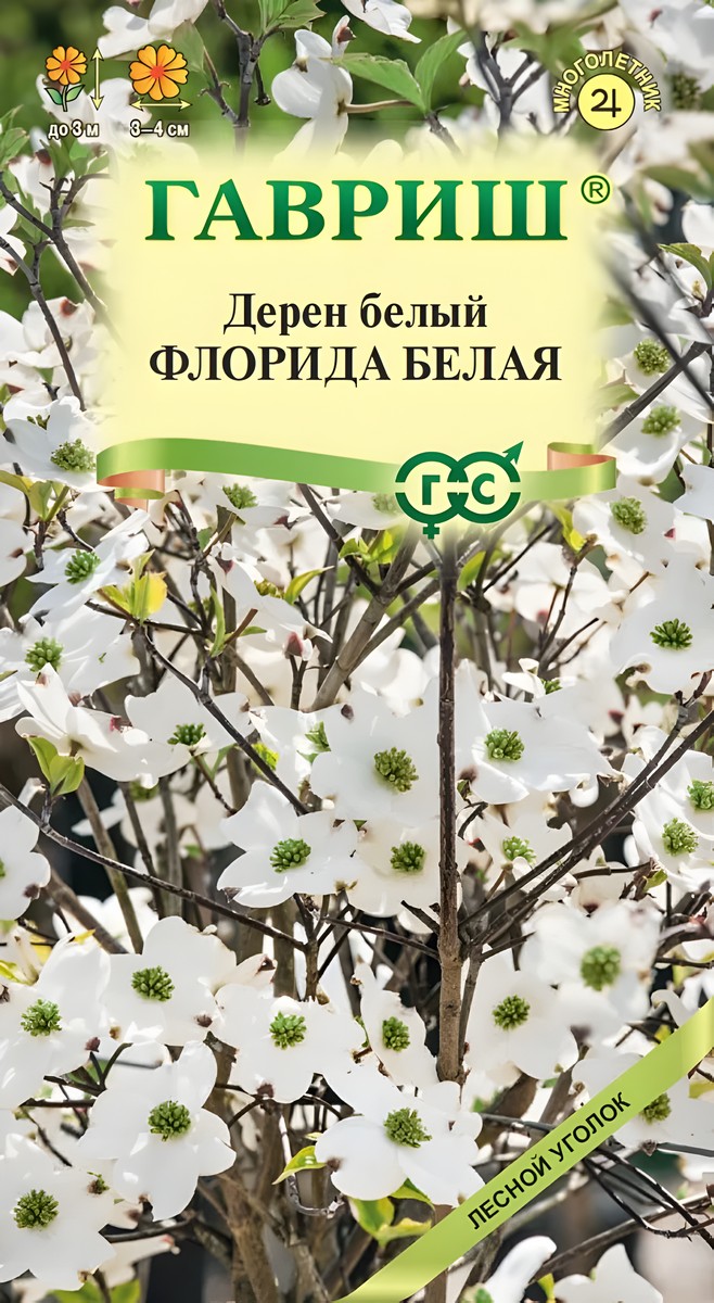 Дерен Флорида белая, 0,3 г. Лесной уголок.