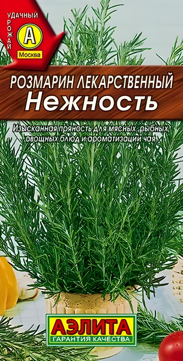 Розмарин Нежность, 20 шт.