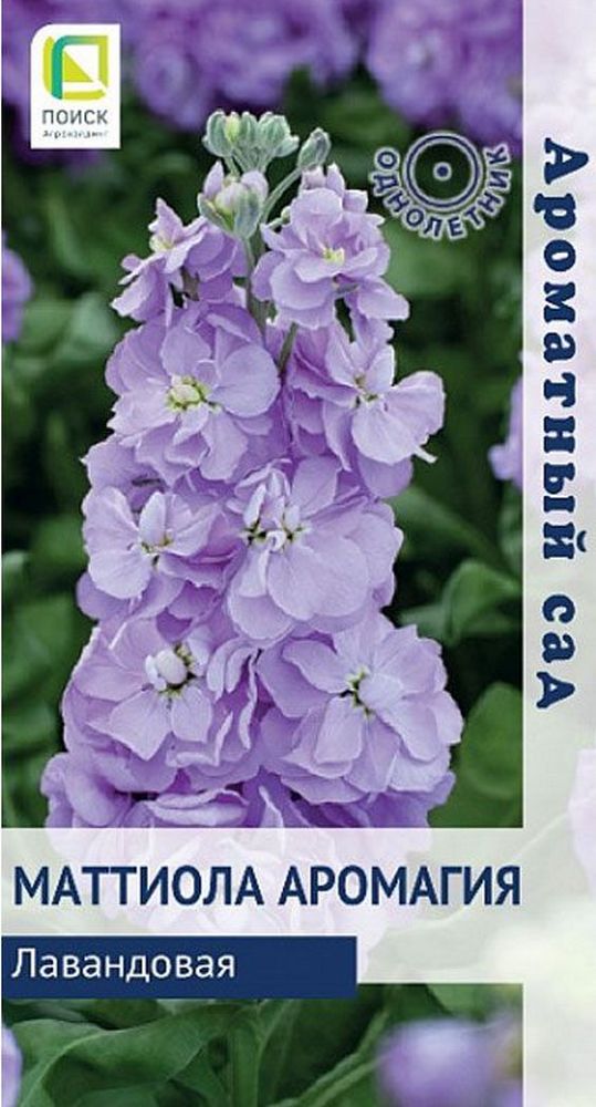Маттиола Аромагия Лавандовая, 10 шт. Ароматный сад