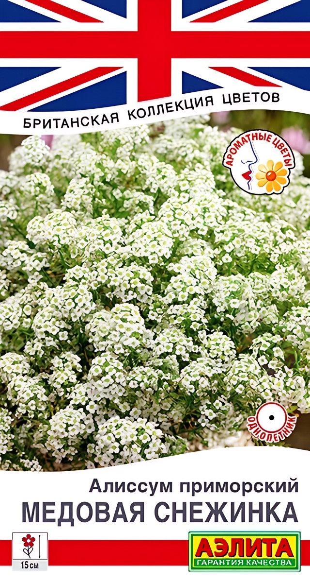 Алиссум Медовая снежинка, 0,05 г