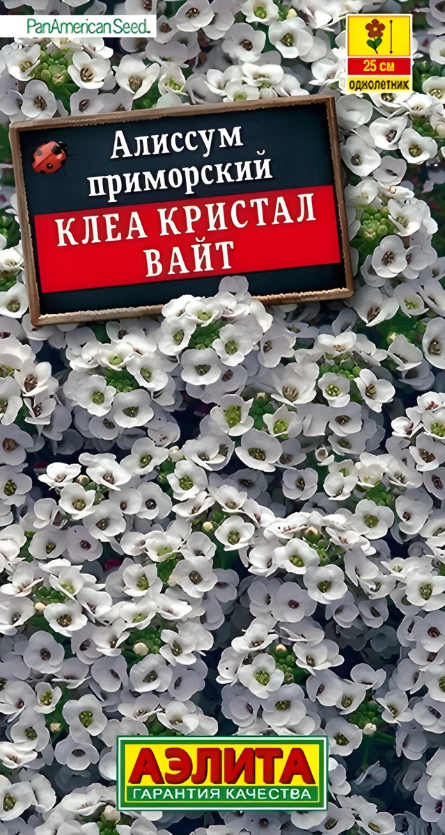 Алиссум Клеа кристал вайт, 4 шт.  