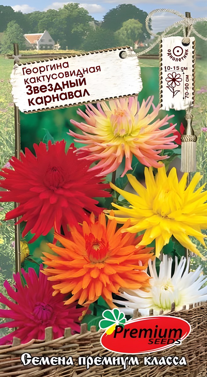 Георгина Звёздный карнавал, смесь, 0,1 г