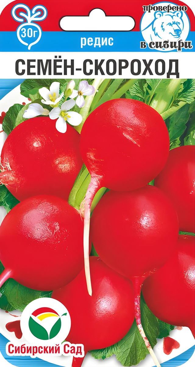 Редис Семен-Скороход, 2 г