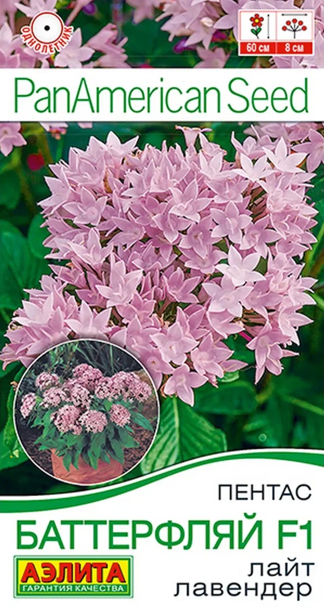 Пентас Баттерфляй F1 лайт лавендер, 3 шт.