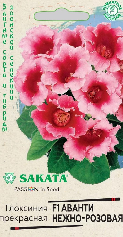 Глоксиния Аванти нежно-розовая F1, 5 шт. Саката.