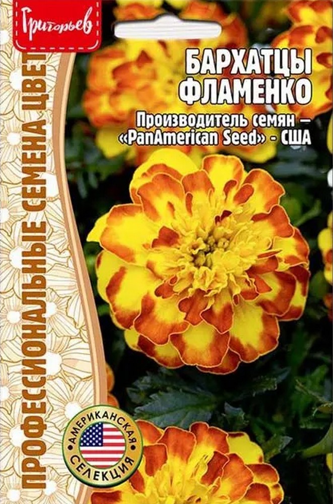 Бархатцы Фламенко, 5 шт.