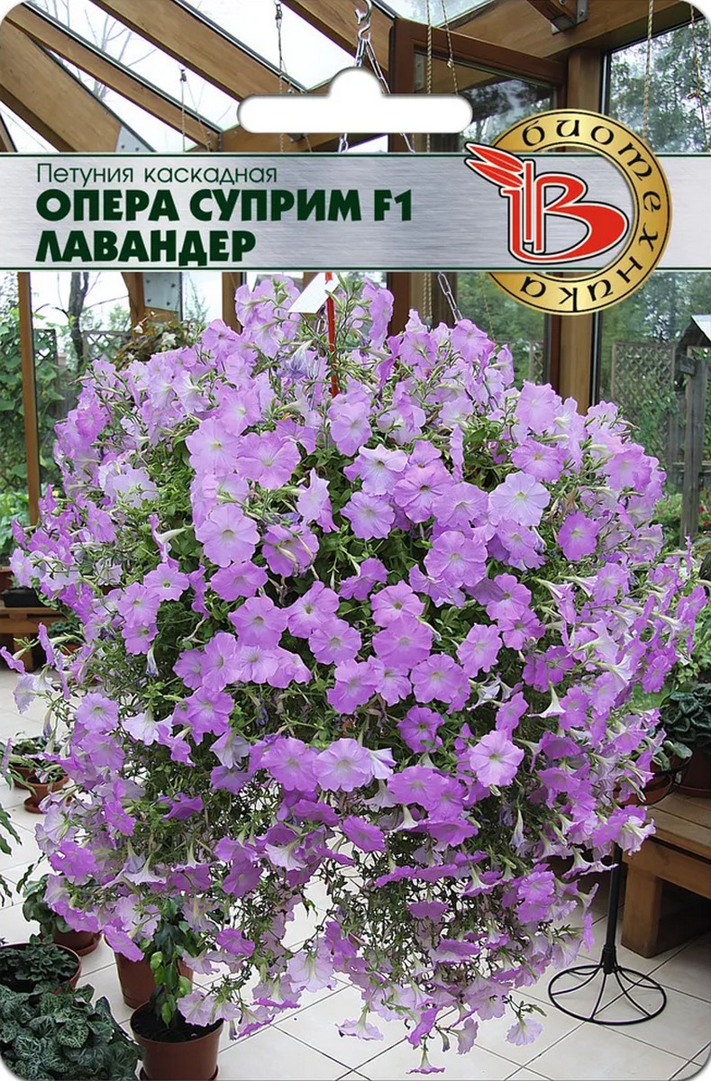 Петуния каскадная Опера Суприма F1 Лавандер, 5 шт. Биотехника