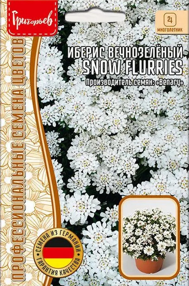 Иберис вечнозеленый Snow Flurries (Снежный шквал), 5 шт.