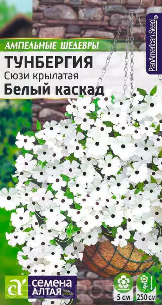 Тунбергия Сюзи Белый каскад крылатая, 4 шт. Ампельные шедевры