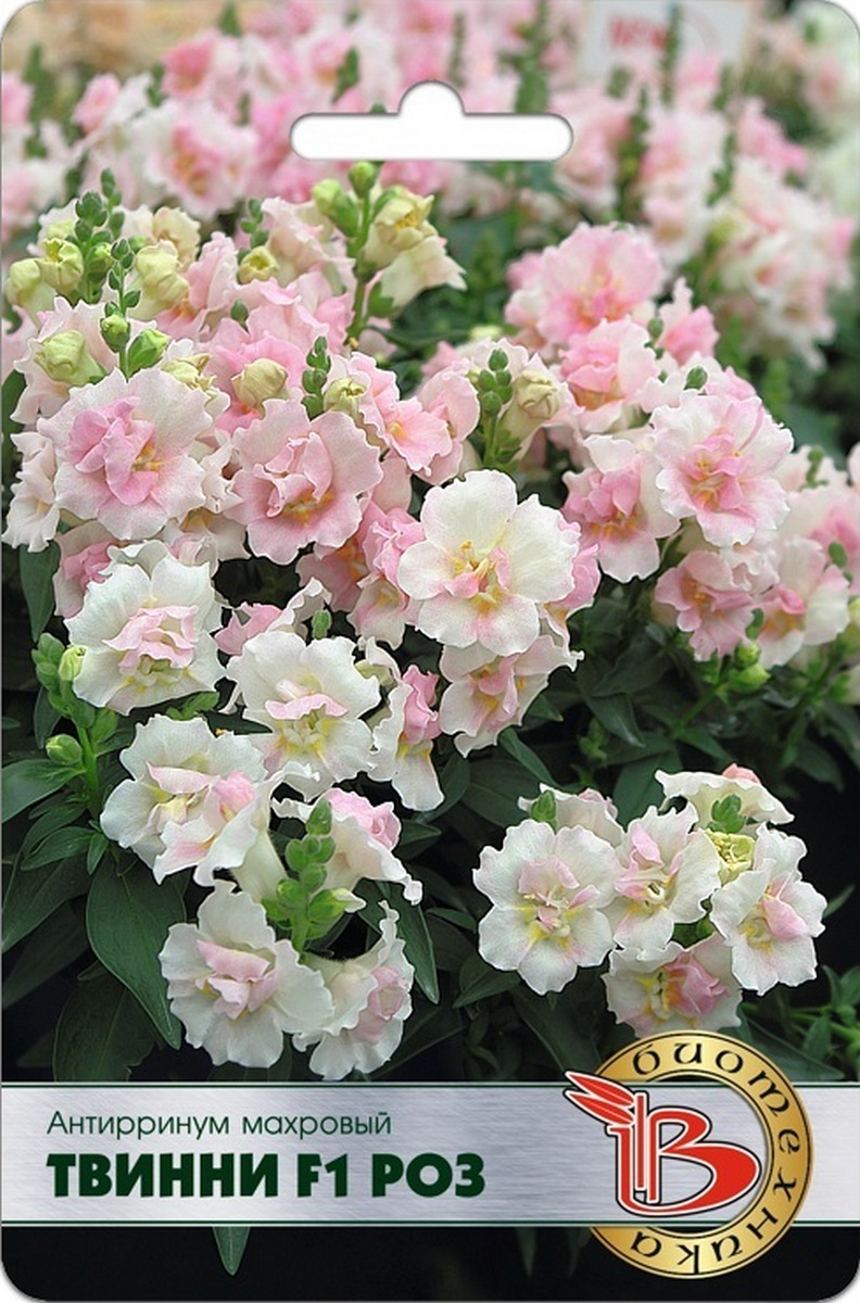 Антирринум махровый Твинни F1 Роз, 15 шт. Биотехника