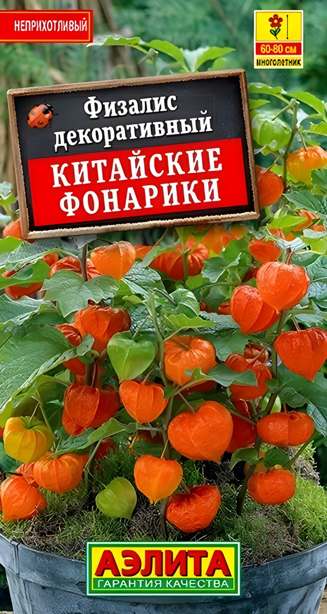 Физалис Китайские фонарики, 0,2 г