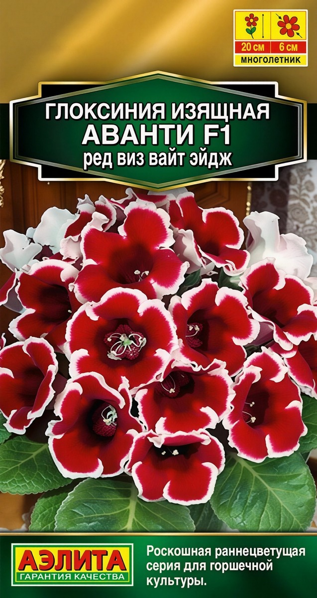 Глоксиния Аванти F1 ред виз вайт эйдж, 5 шт.