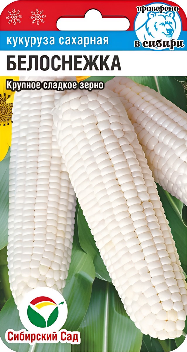 Кукуруза Белоснежка, 10 шт. Сибирский сад.
