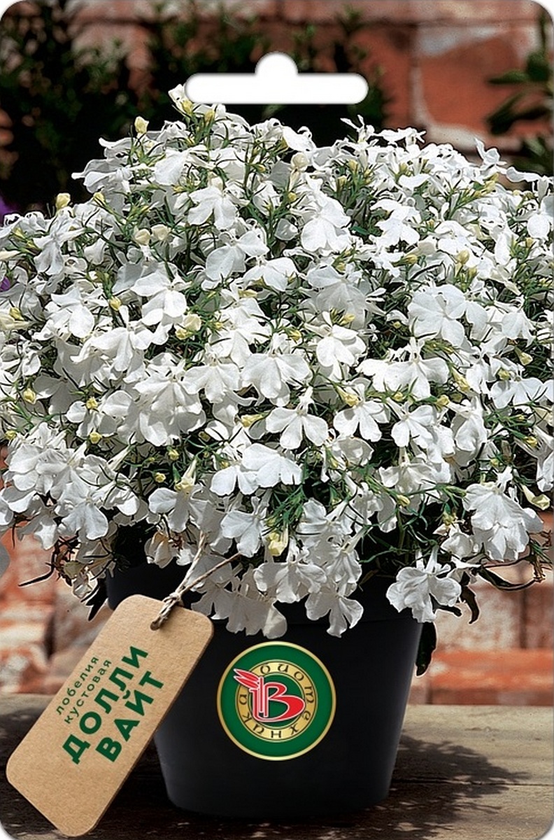 Лобелия кустовая Долли  Вайт, 10 шт. Драже Биотехника