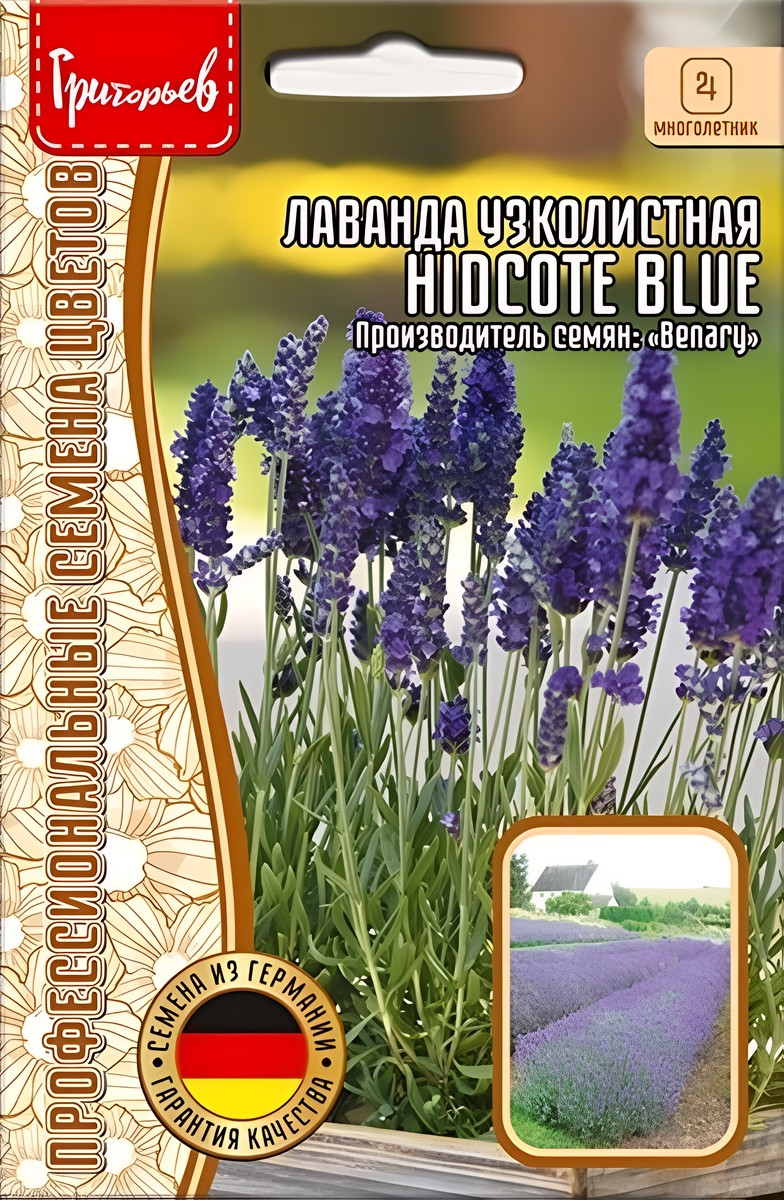 Лаванда узколистная Hidcote Blue, 10 шт.