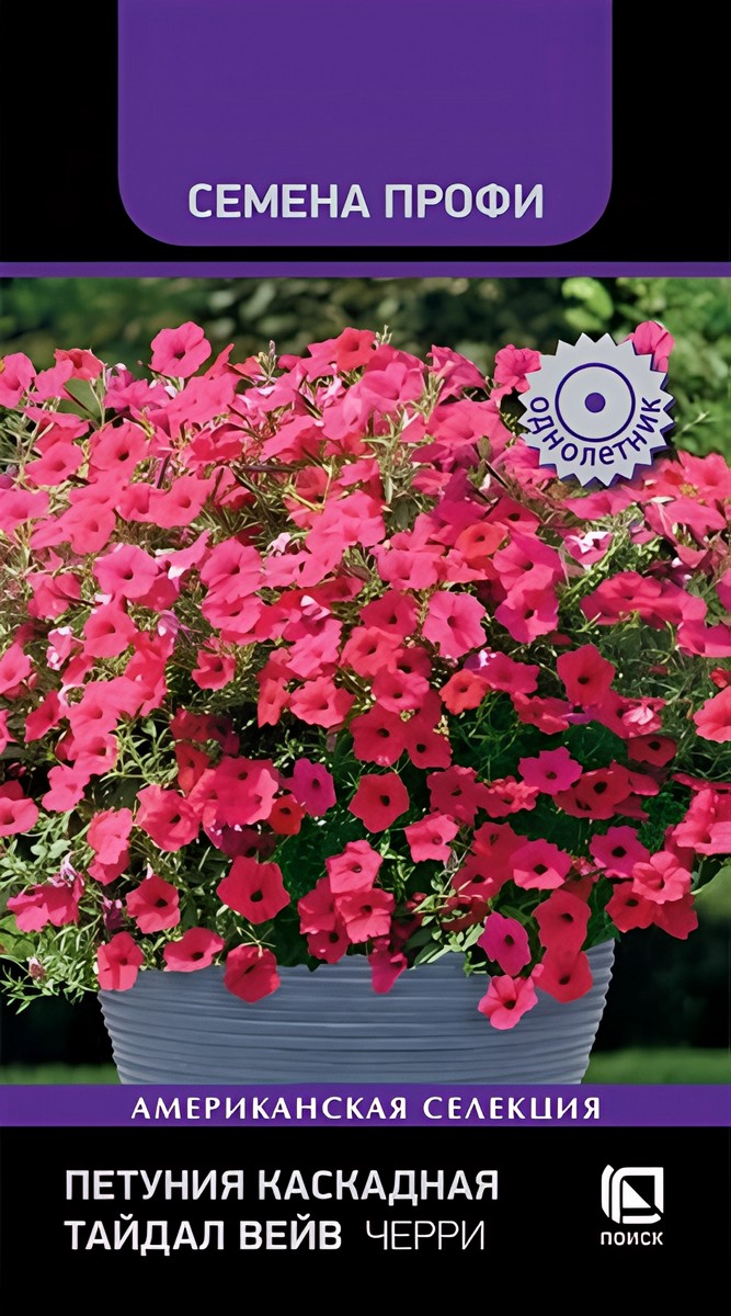 Петуния каскадная Тайдал Вейв Черри, 5 шт. Семена Профи 