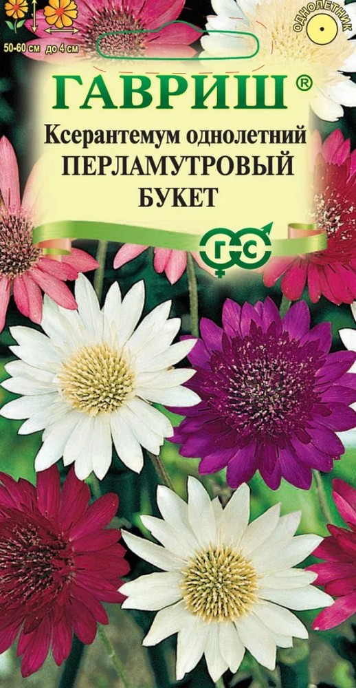 Ксерантемум Перламутровый букет смесь, 0,05 г