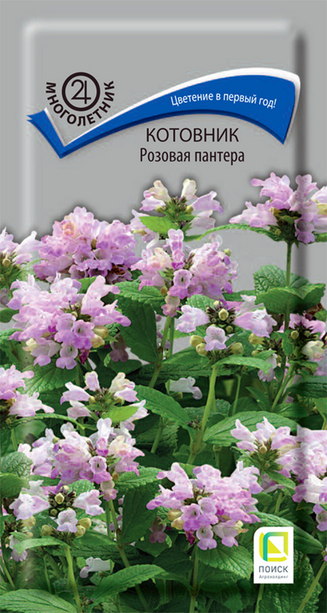 Котовник Розовая пантера, 10 шт.