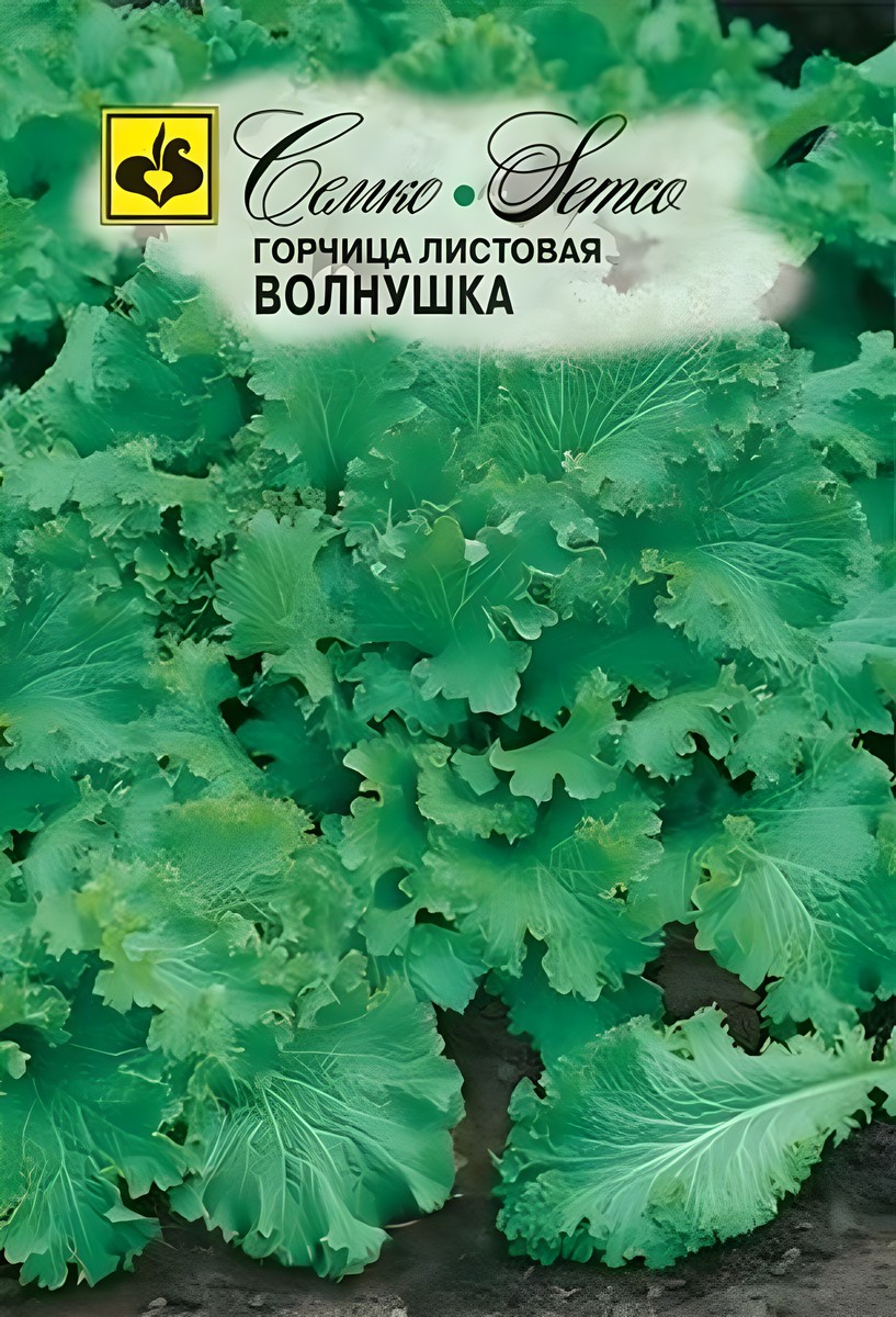 Горчица листовая Волнушка, 2 г. Семко.