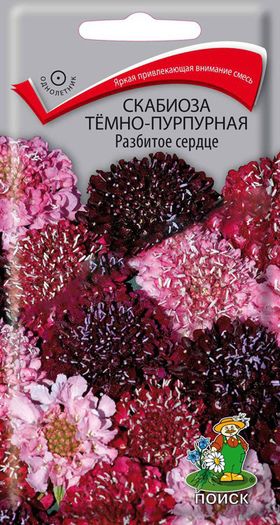 Скабиоза темно-пурпурная Пламенное сердце, 10 шт.