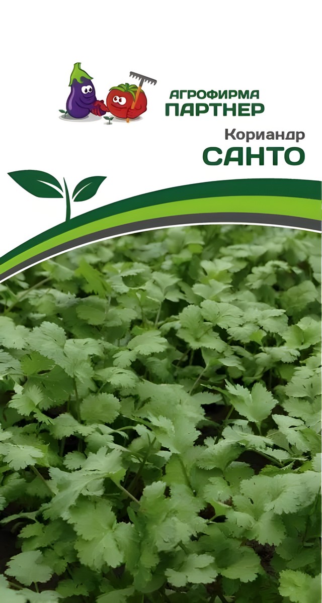 Кориандр Санто, 3 г