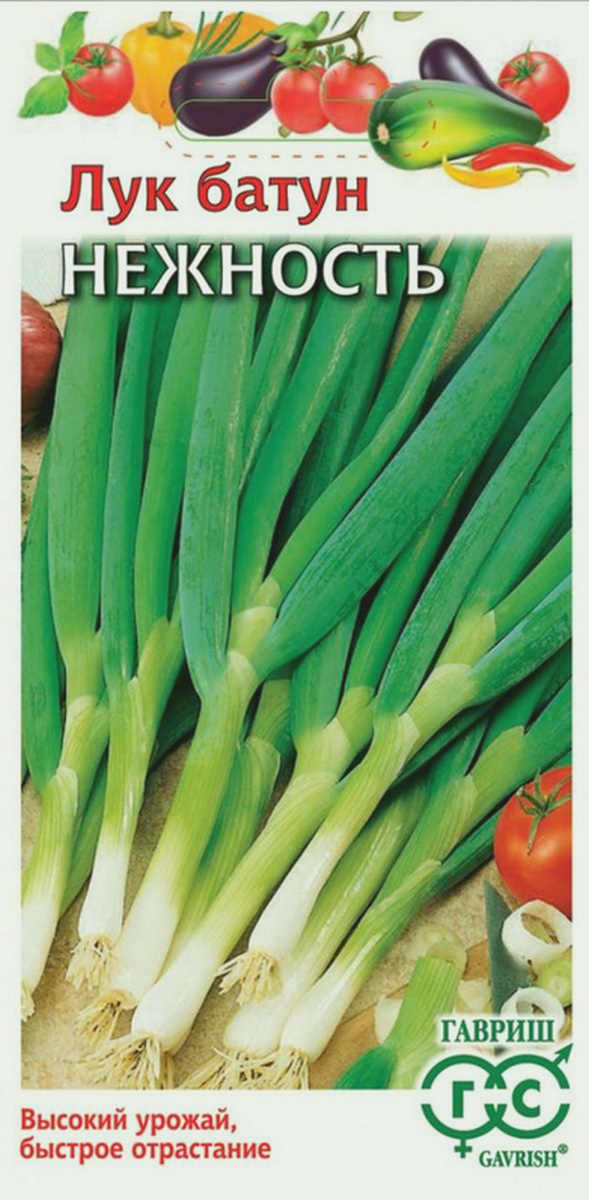 Лук батун Нежность, 1 г. Гавриш