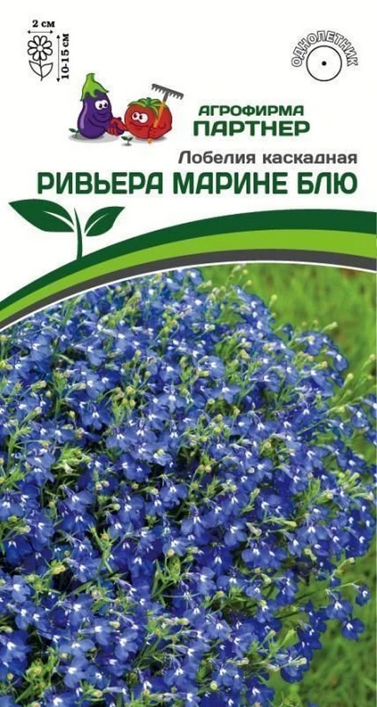 Лобелия каскадная Марине Блю, 10 шт.