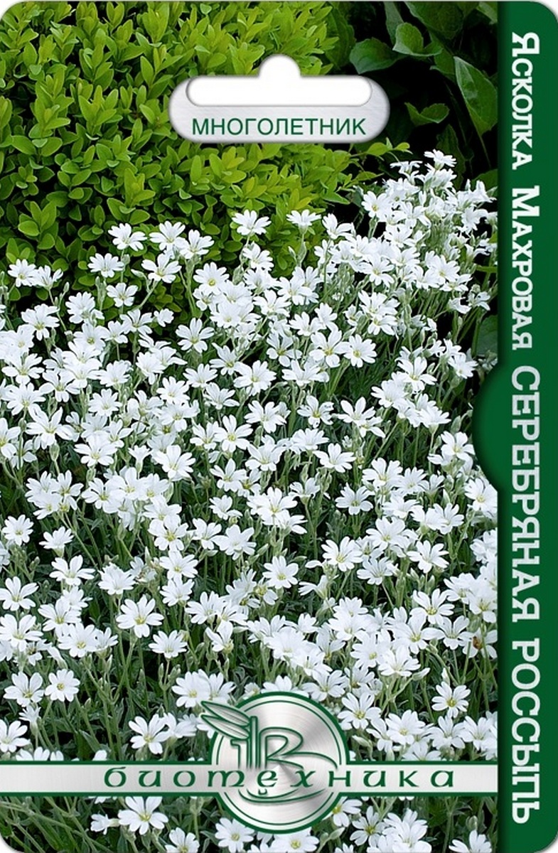 Ясколка махровая Серебряная Россыпь, 100 шт. Биотехника