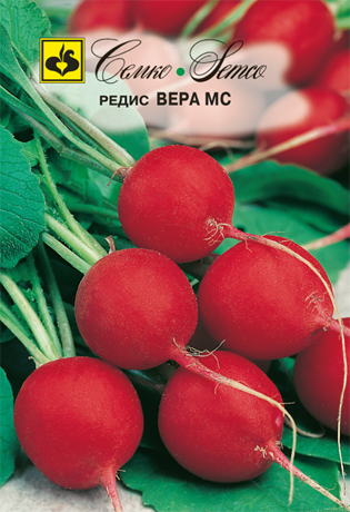 Редис Вера МС, 3 г