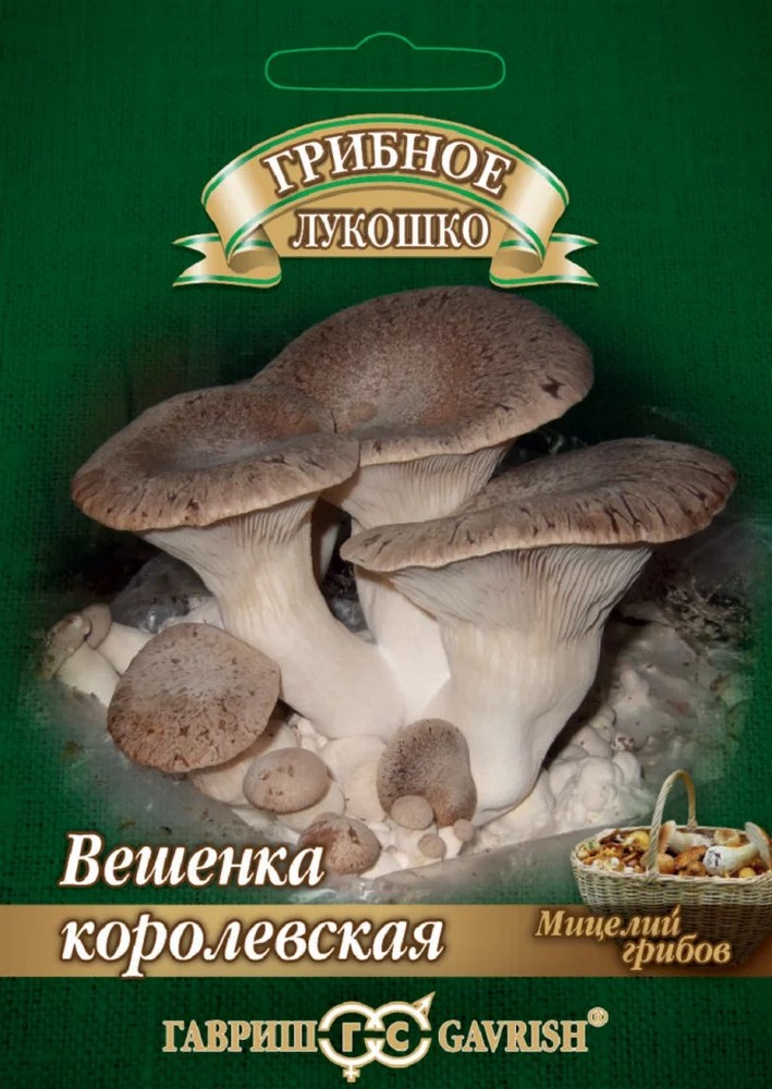 Вешенка Королевская на древесной палочке, 12 шт.