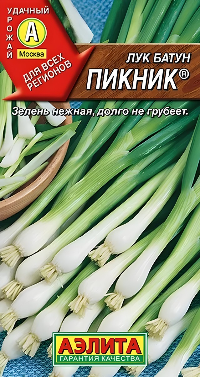 Лук батун Пикник, 1 г