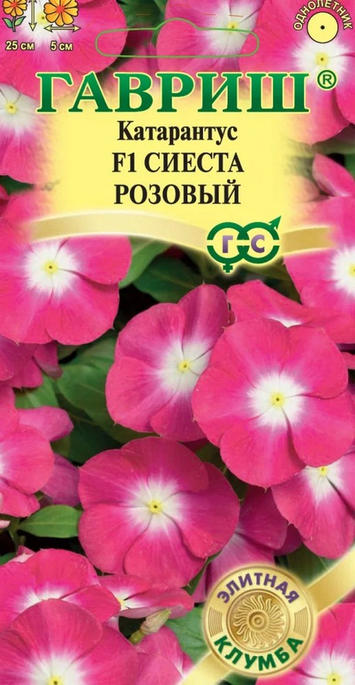 Катарантус Сиеста розовый, 5 шт. Элитная клумба.