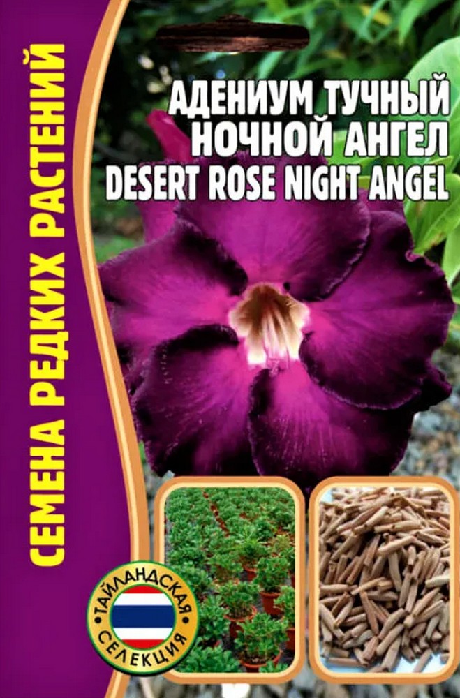 Адениум Ночной Ангел DESERT ROSE, 3 шт.