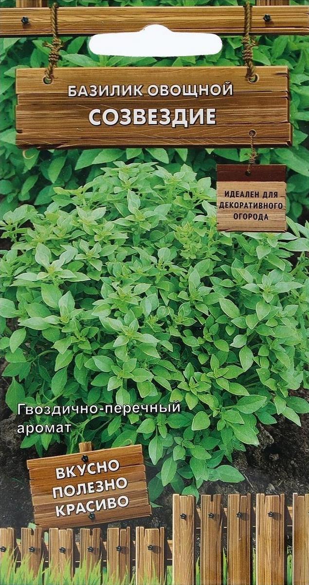 Базилик овощной Созвездие, 0,1 г Декоративный огород