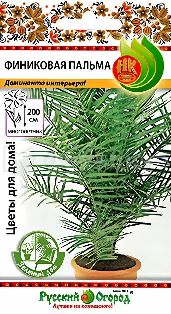 Пальма Финиковая, 5 шт. Зеленый дом. Русский огород