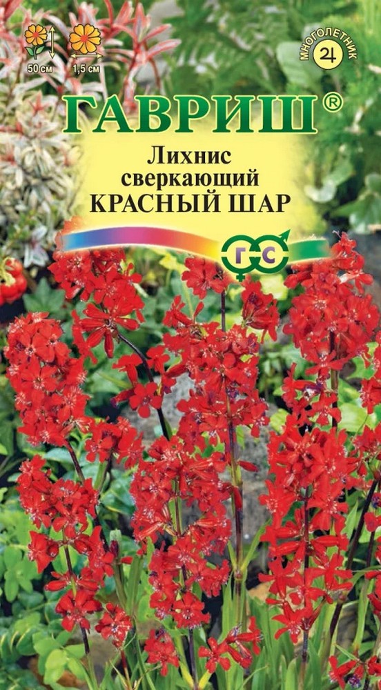 Лихнис вискария Красный шар, 0,1 г