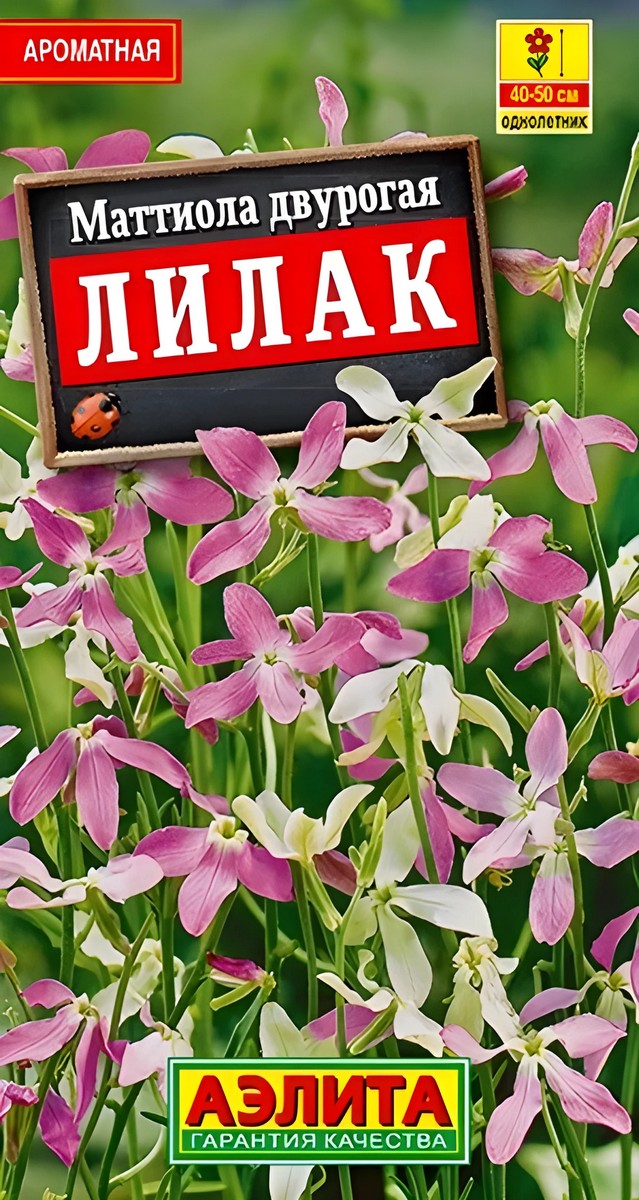 Маттиола двурогая Лилак, 0,5 г  