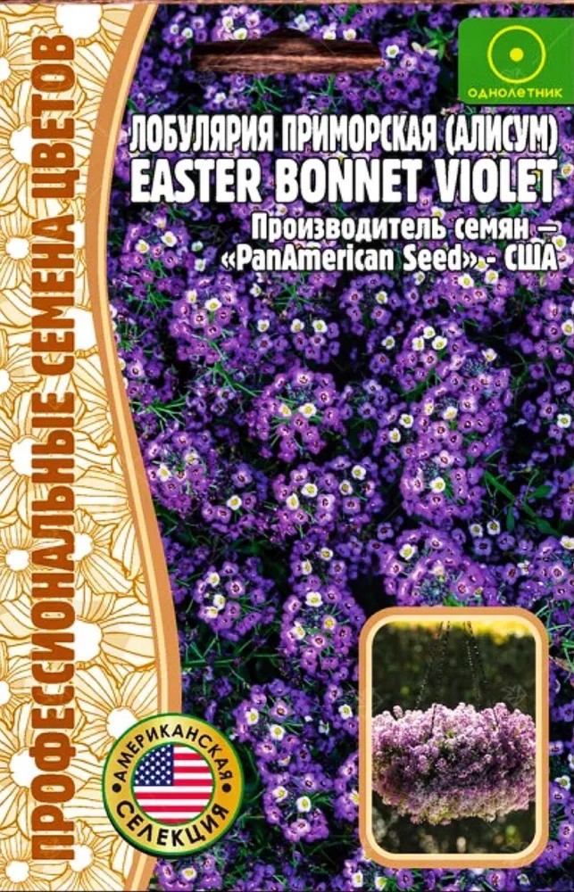 Алиссум (лобулярия) Easter Bonnet Violet (Пасхальная фиолетовая шляпка), 20 шт.