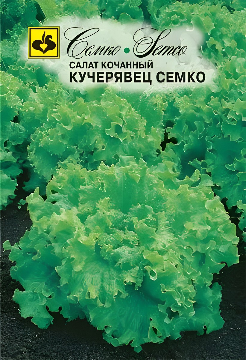 Салат полукочанный Кучерявец, 1 г. Семко.