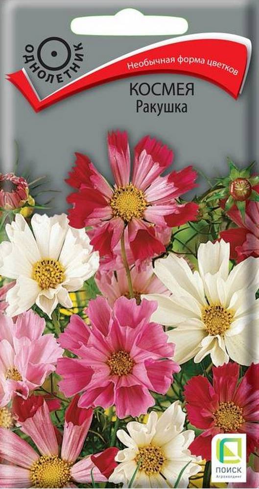 Космея Ракушка 0,3 г