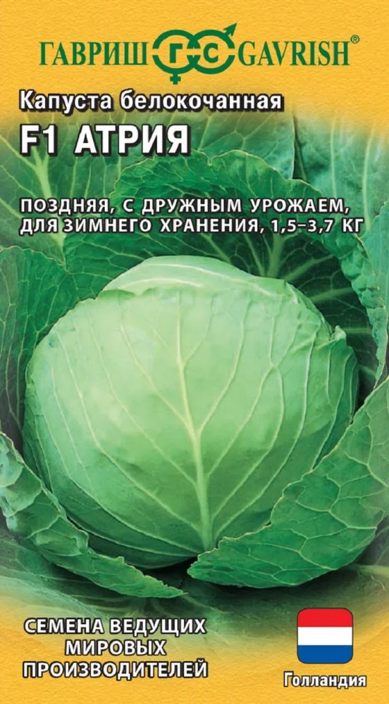 Капуста белокочаная Атрия F1, 10 шт. Голландия.