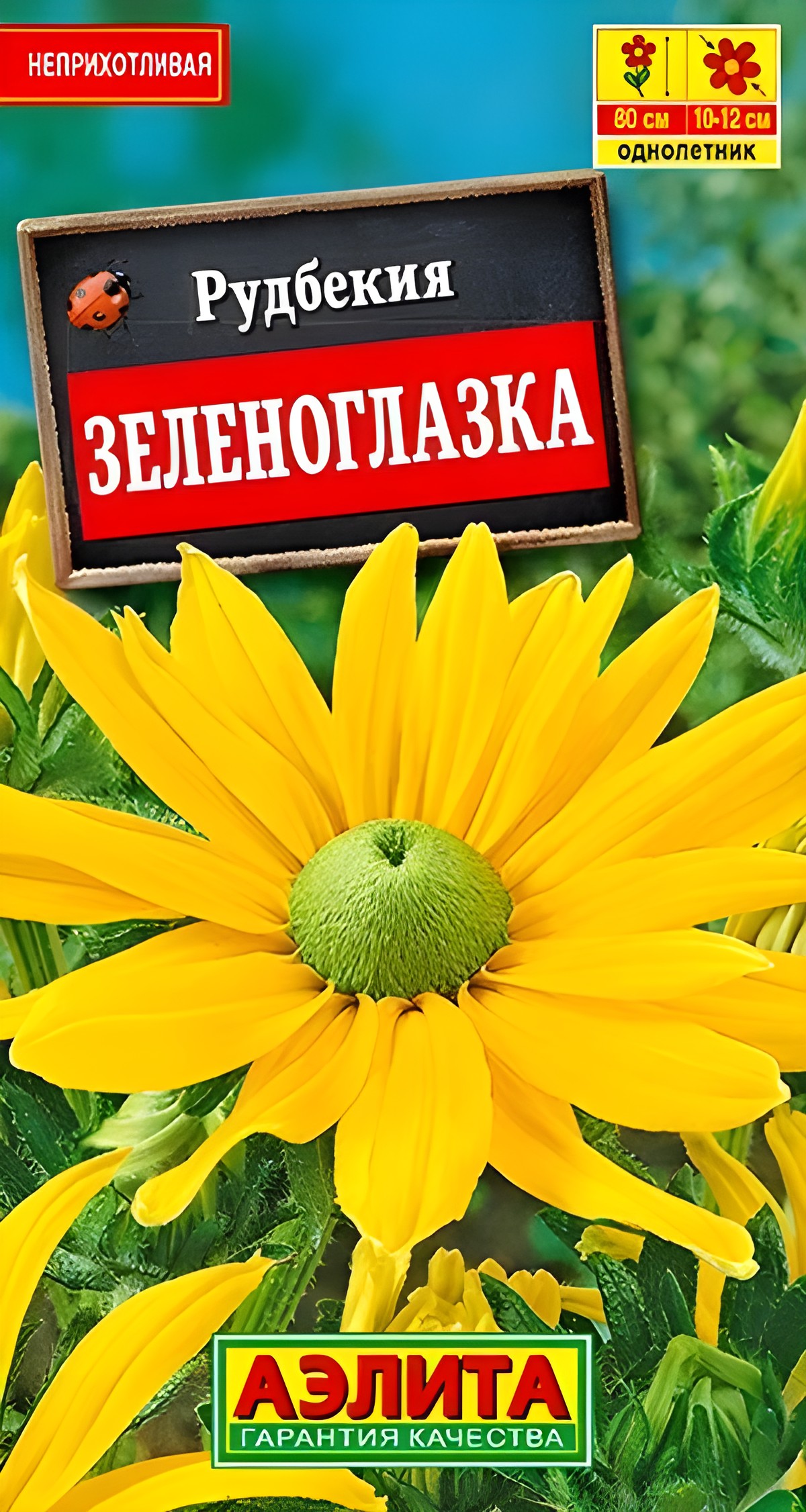 Рудбекия Зеленоглазка, 10 шт.
