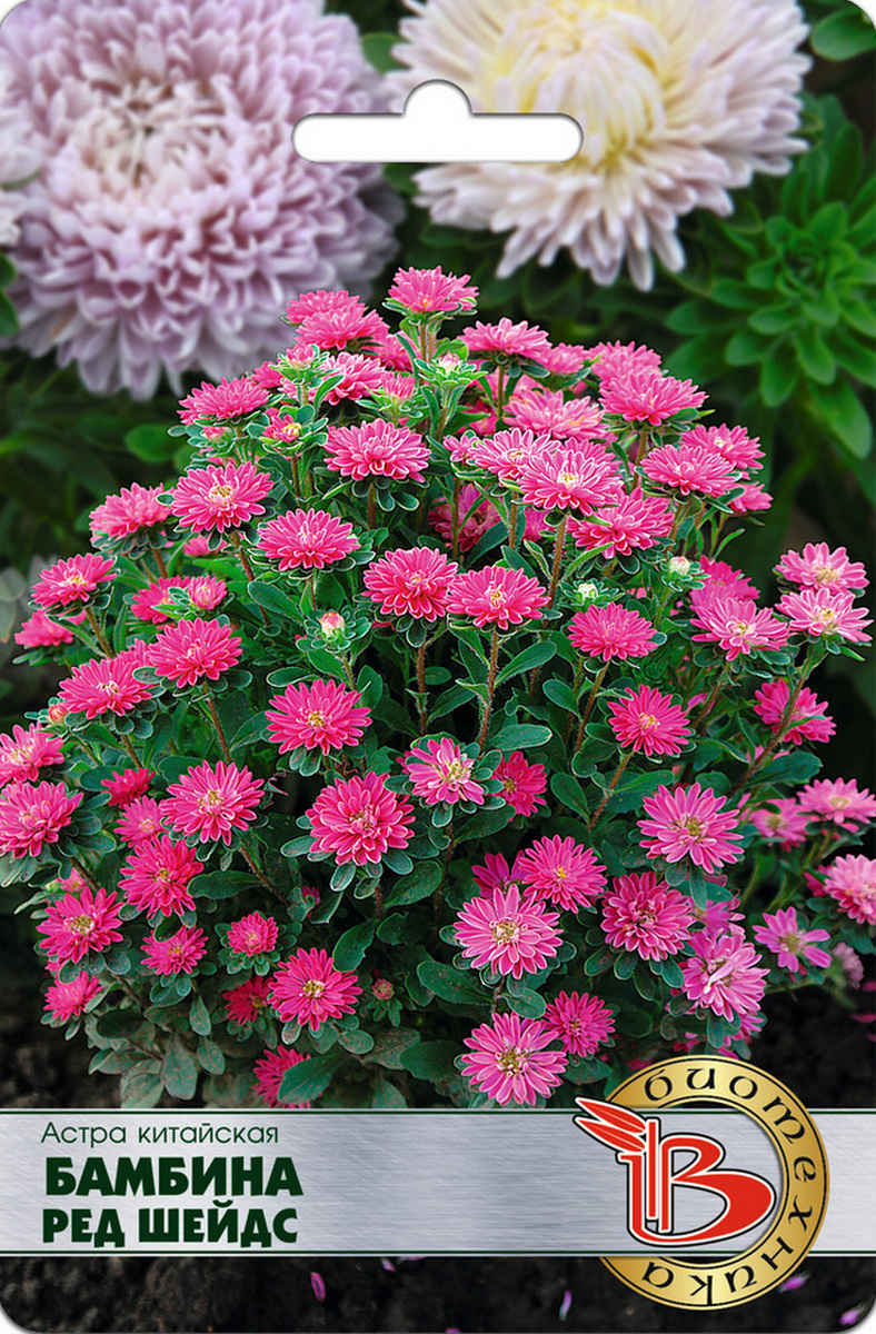 Астра китайская Бамбина Ред Шейдес, 20 шт. Биотехника