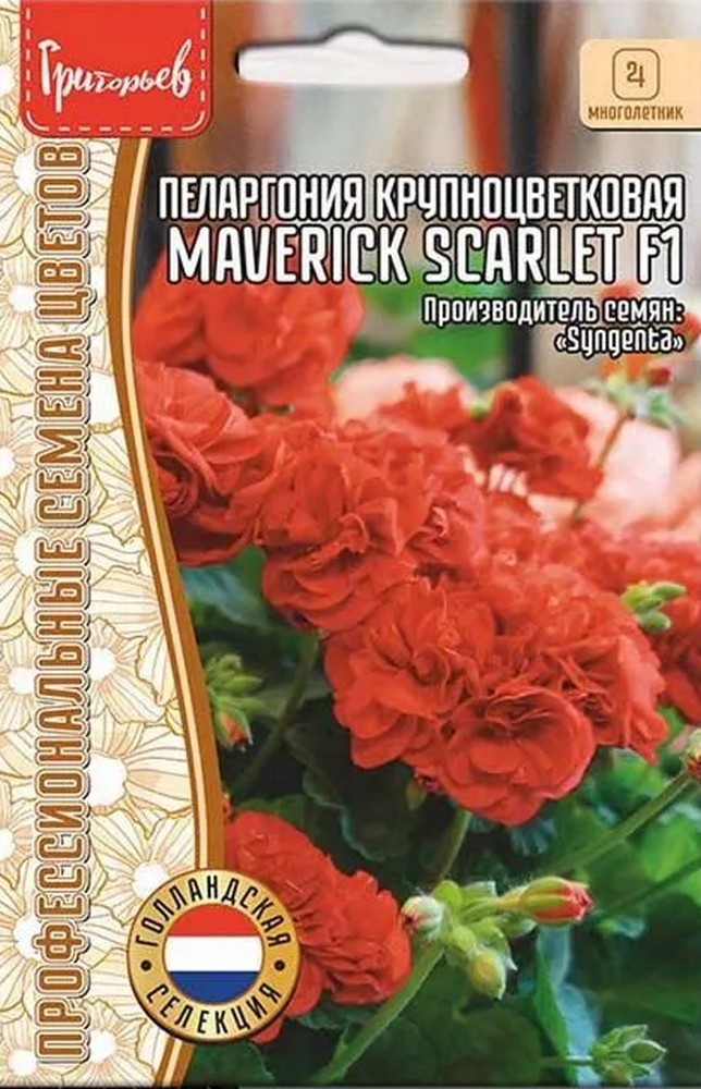 Пеларгония грандифлора Маверик Скарлет F1, 3 шт.