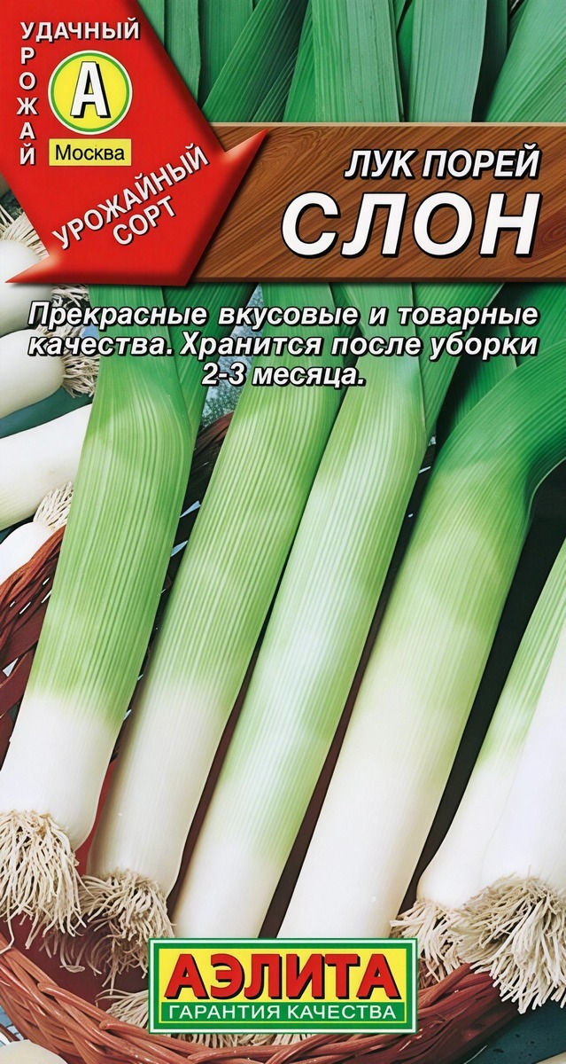 Лук порей Слон, 0,5 г