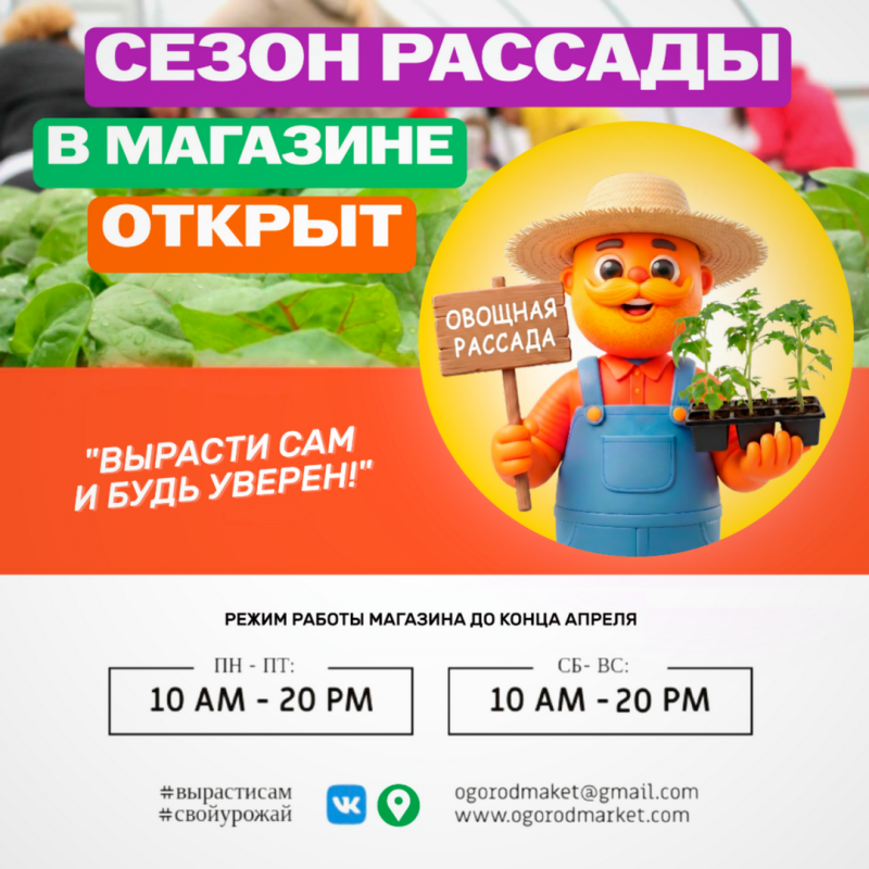 Поступление овощной и цветочной рассады