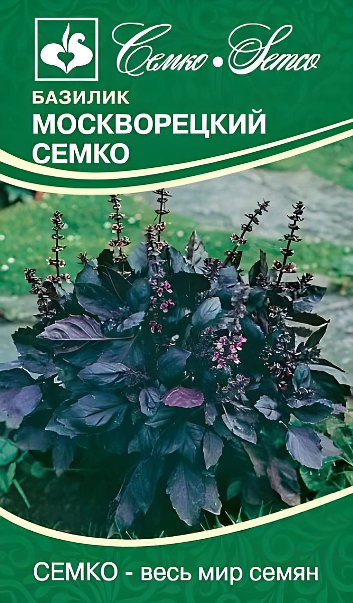 Базилик Москворецкий, 1 г. Семко.