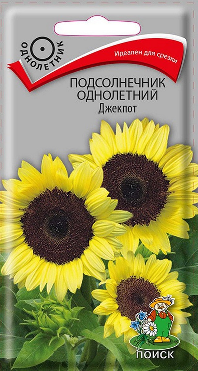Подсолнечник декоративный однолетний Джекпот, 0,3 г